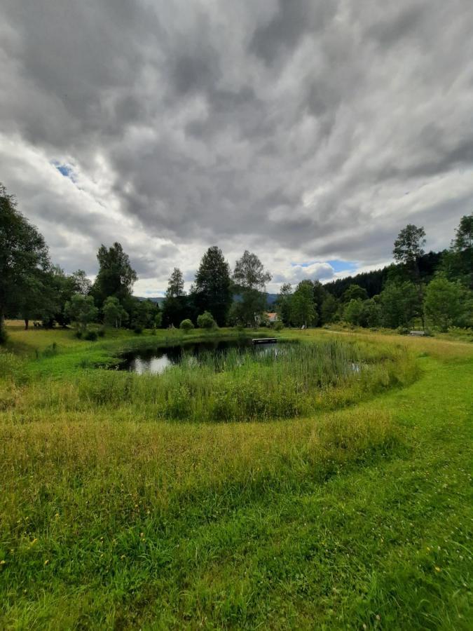 Arberapartment Bayerisch Eisenstein Exteriör bild